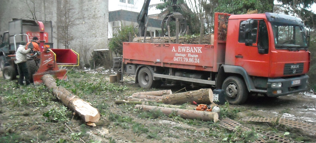 travaux d'abattage